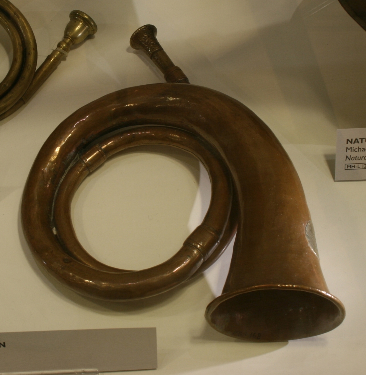 Signalhorn (posthorn)