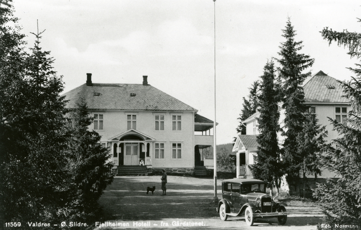 Fjellheimen Hotell, Skammestein.