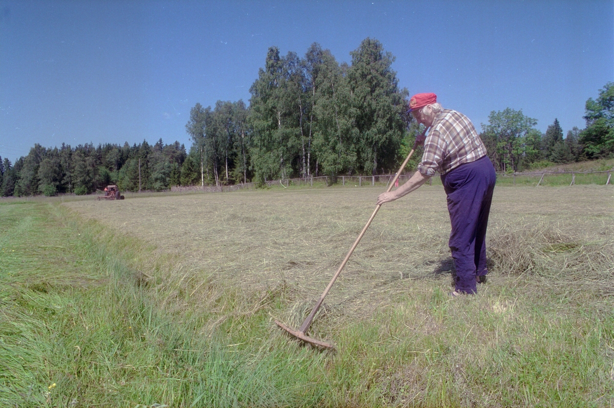 Okänd man räfsar, Lönnholmen, Gräsö socken, Uppland 1994 - 1995