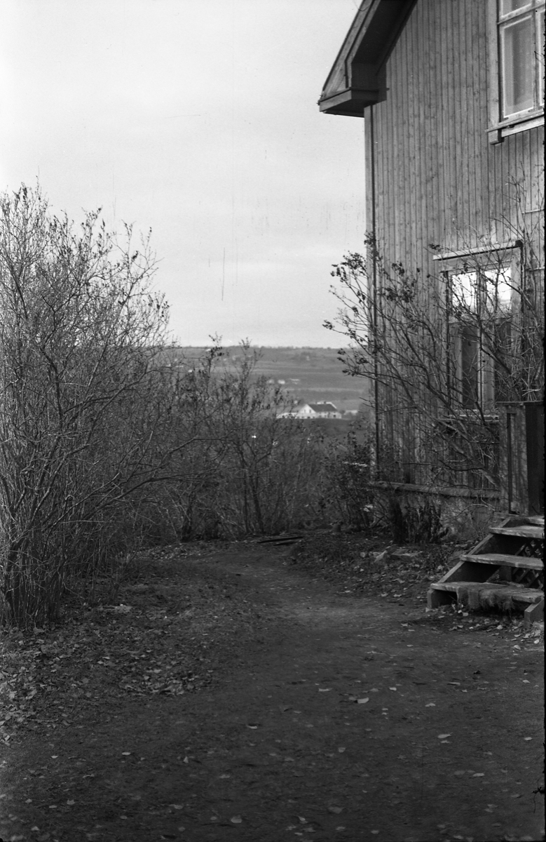 To bilder fra fotografens eiendom Odberg på Kraby, Østre Toten, senhøstes 1955.