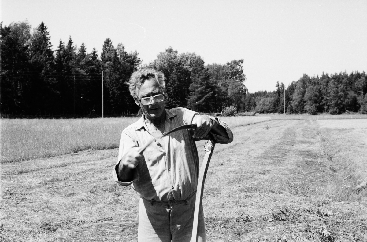 Okänd man slipar en lie, Lönnholmen, Gräsö, Uppland 1994 - 1995