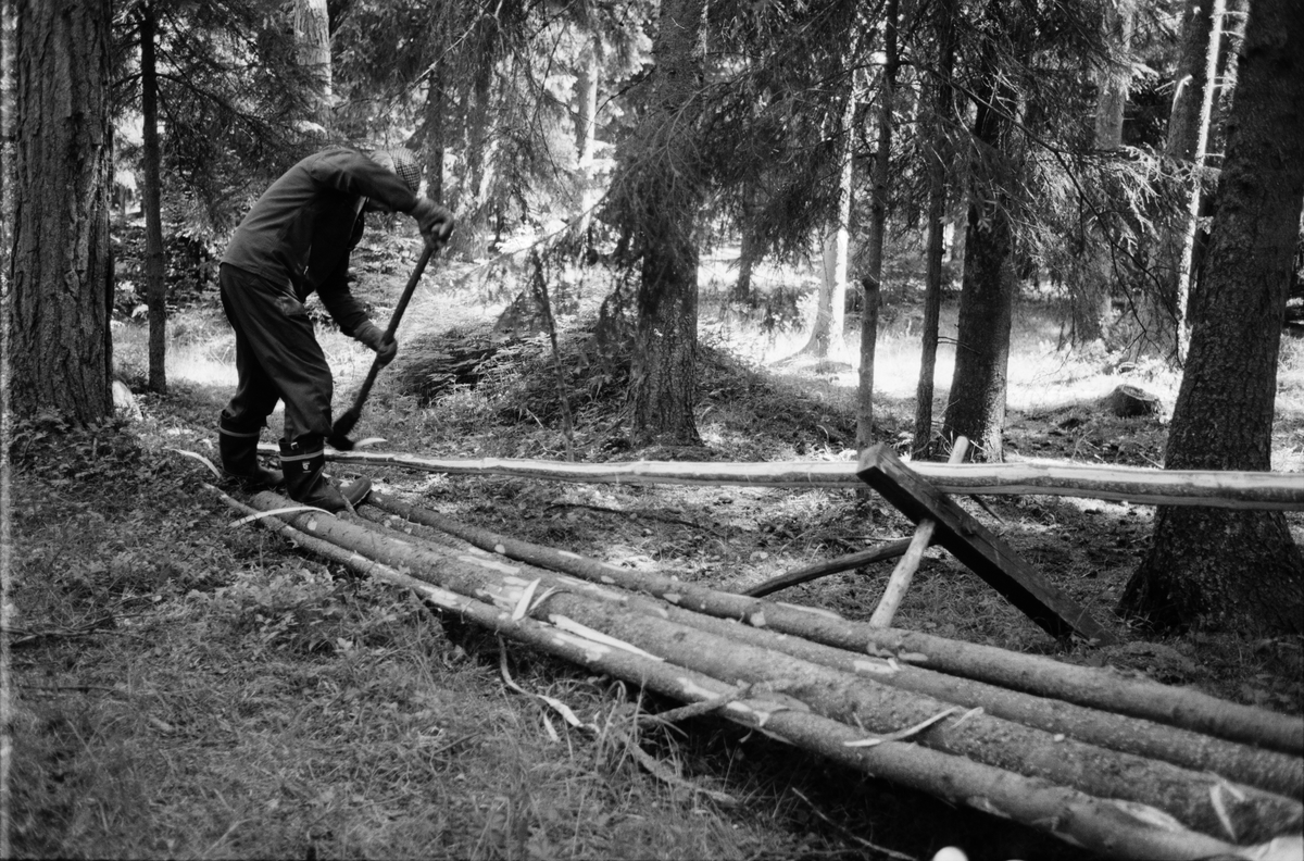 Lantbrukare Birger Mattsson arbetar i skogen, Lönnholmen, Gräsö, Uppland 1994 - 1995