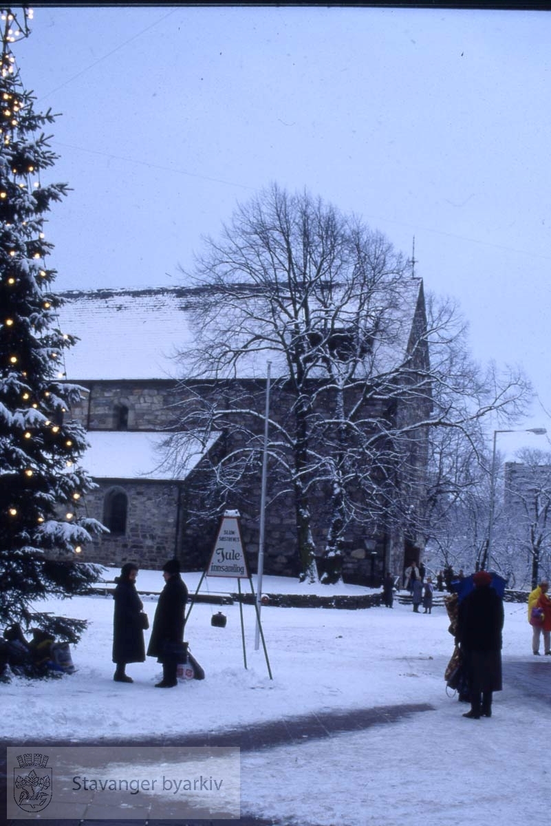 Domkirken i vinterdrakt. .Juletre