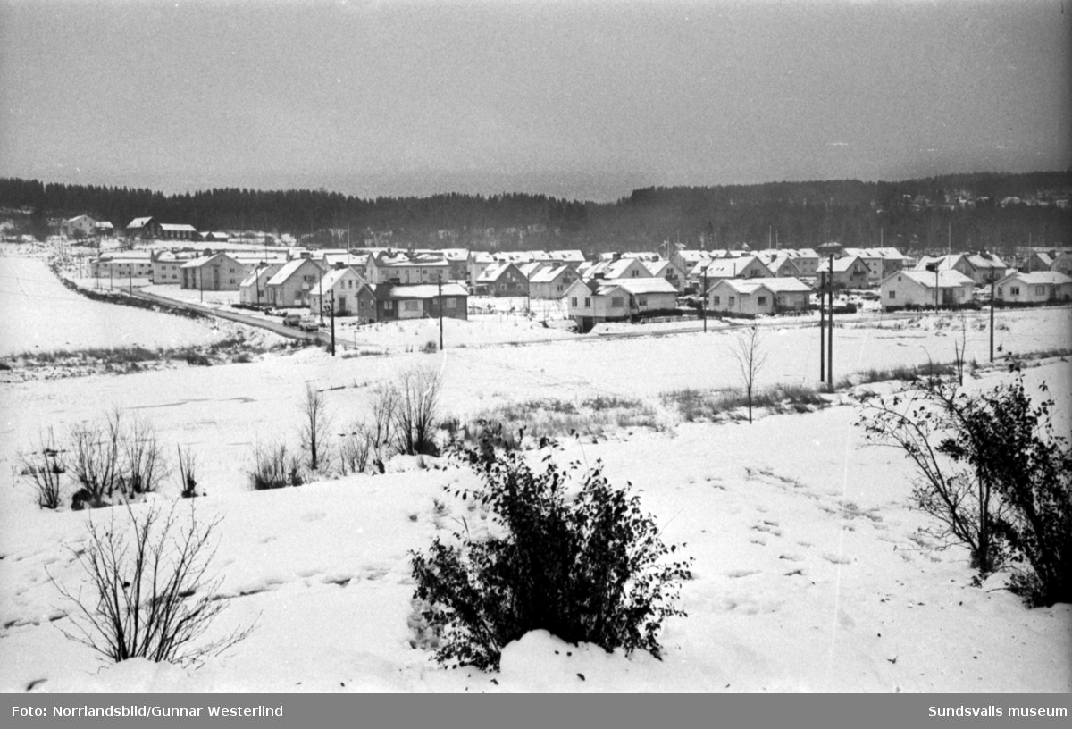 Vy över egnahemsområdet i Granlo, öster om Huginvägen, fotograferat från Högoms skola.