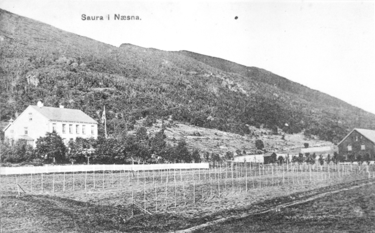 Postkort som viser gården Saura på Handnesøya, Nesna i 1911.