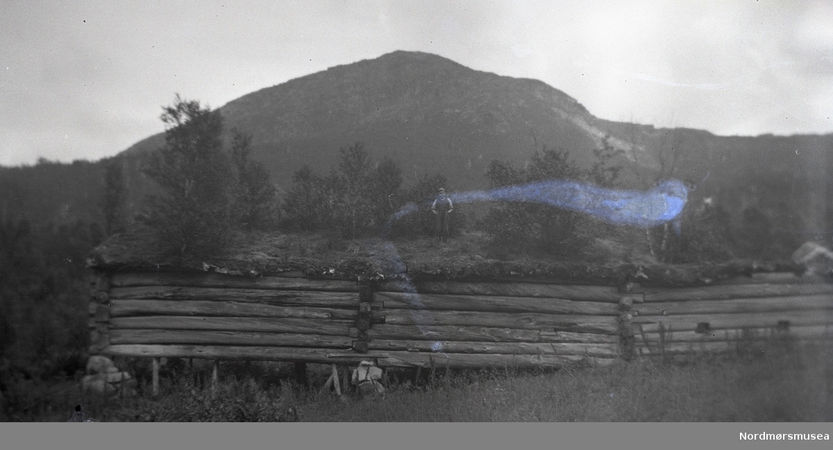 Kløftsetra i Vindøldalen 1934. Ung gut står på taket på det lange fjøset.