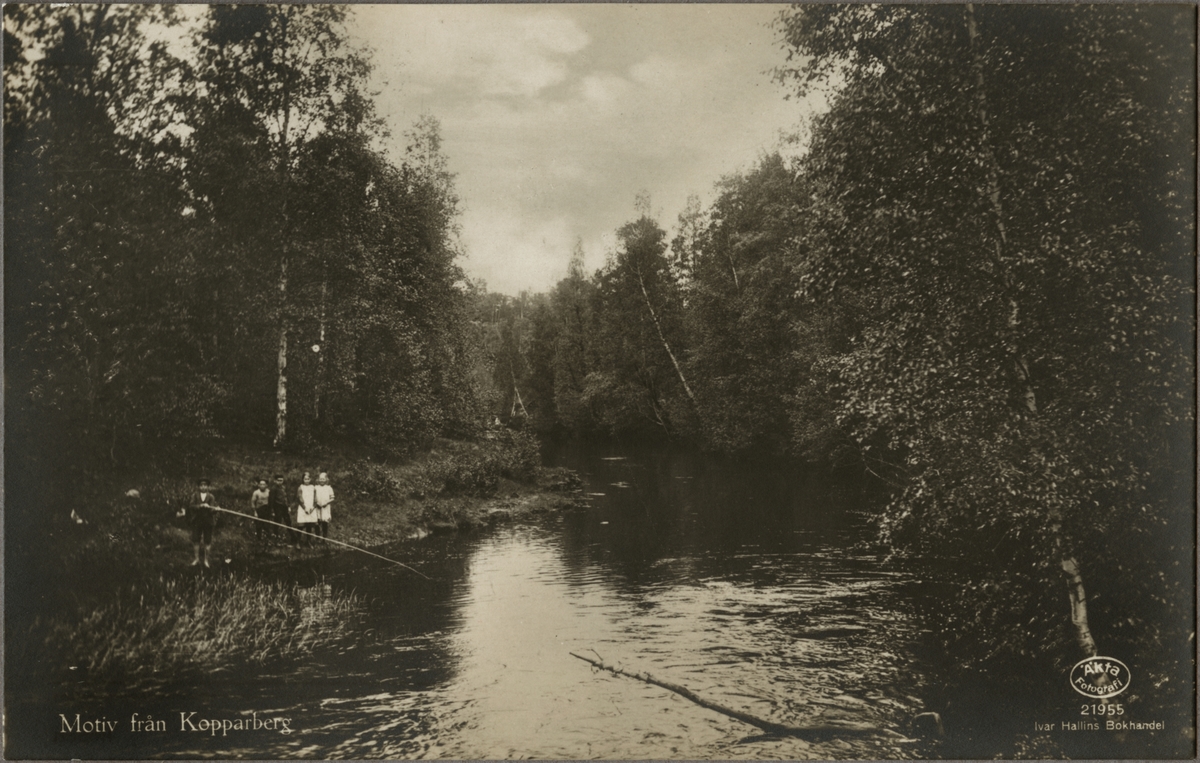 Barn som fiskar i en å i närheten av Kopparberg.