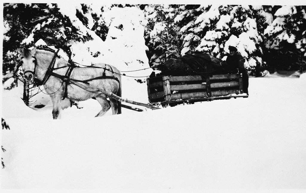 Torvkjøring med hest og slede på Åsvatnet i 1943. Leonard Høiland (29.01.1905 - 23.09.1975) er bak i sleden.