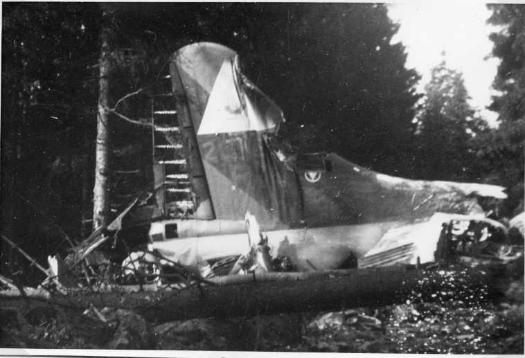 Stjärtpartiet av ett kraschat bombplan i ett skogsområde.