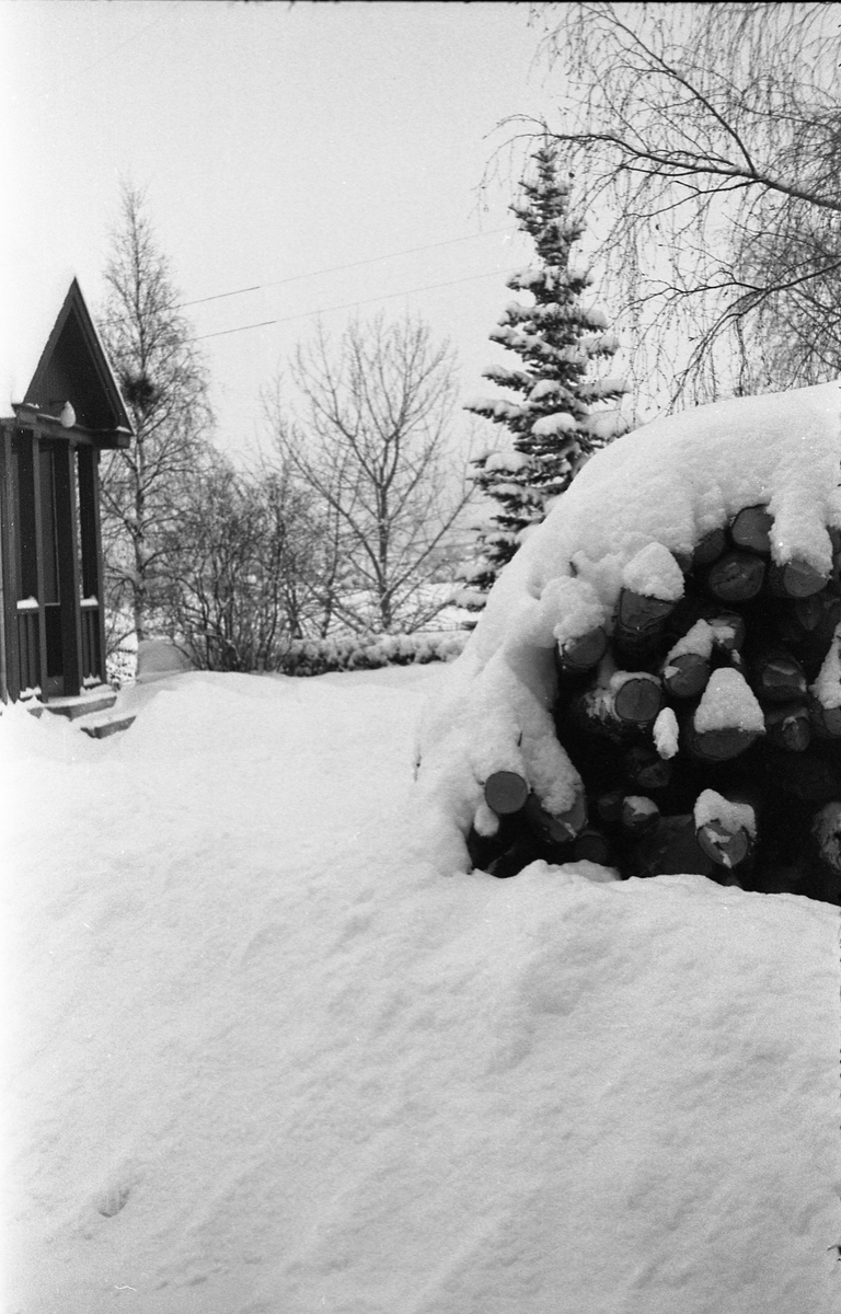 Neste vinters forsyning av ved. Tre bilder fra Odberg på Kraby, Østre Toten.