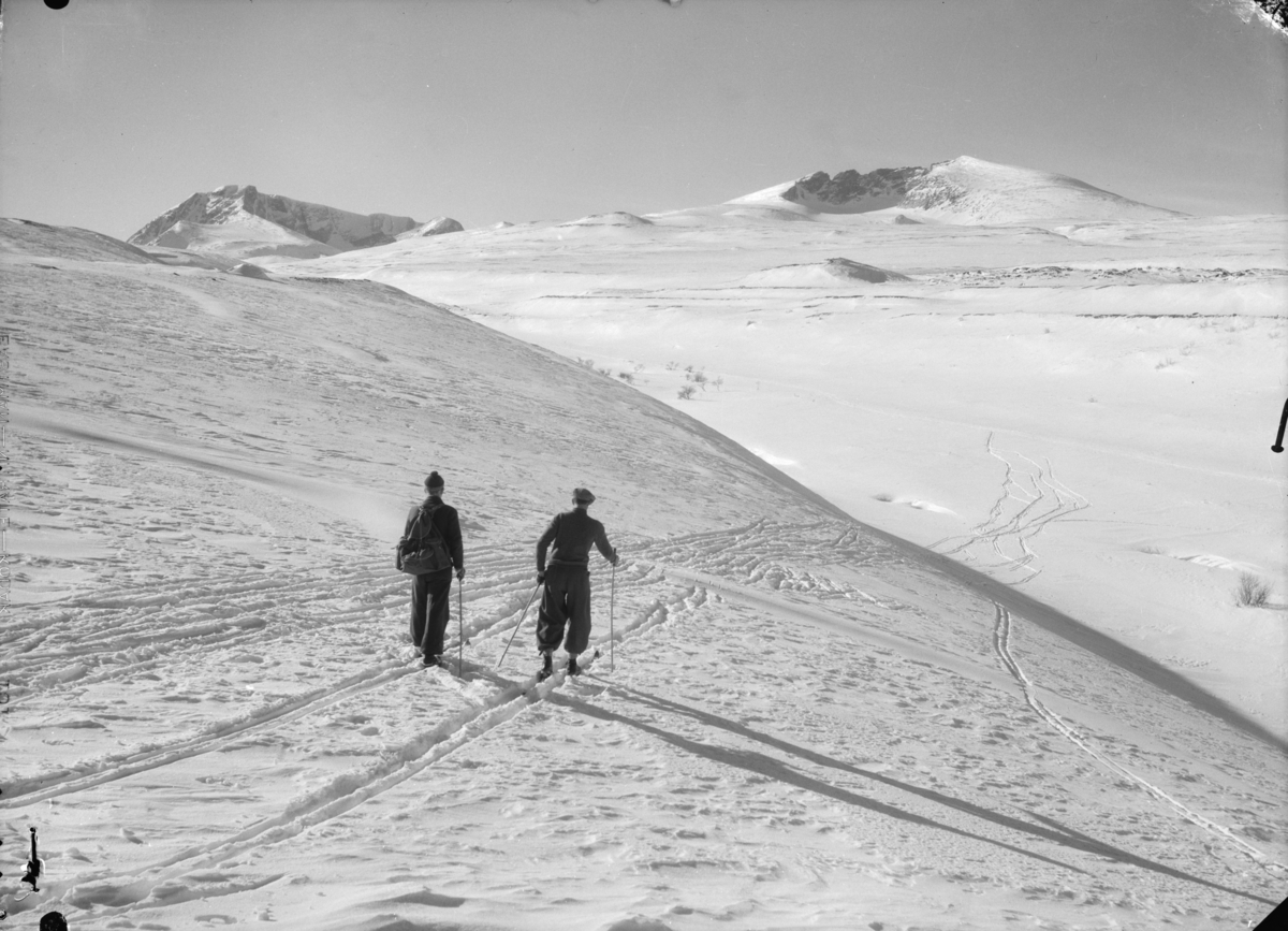 Dovrefjell, to på skitur mot Snøhetta