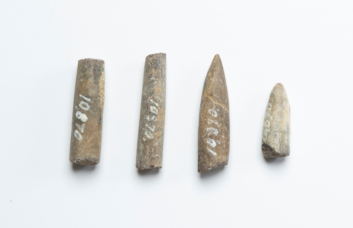 Fossil av belemniter (utdöda bläckfiskar), 4 stycken. Dessa är stenliknande och spolformade samt avbrutna.

JM 10870:1, spetsig respektive trubbig ände, längre.
JM 10870:2, spetsig respektive trubbig ände, kortar.
JM 10870:3, trubbiga ändar, längre.
JM 10870:4, trubbiga ändar, kortare.