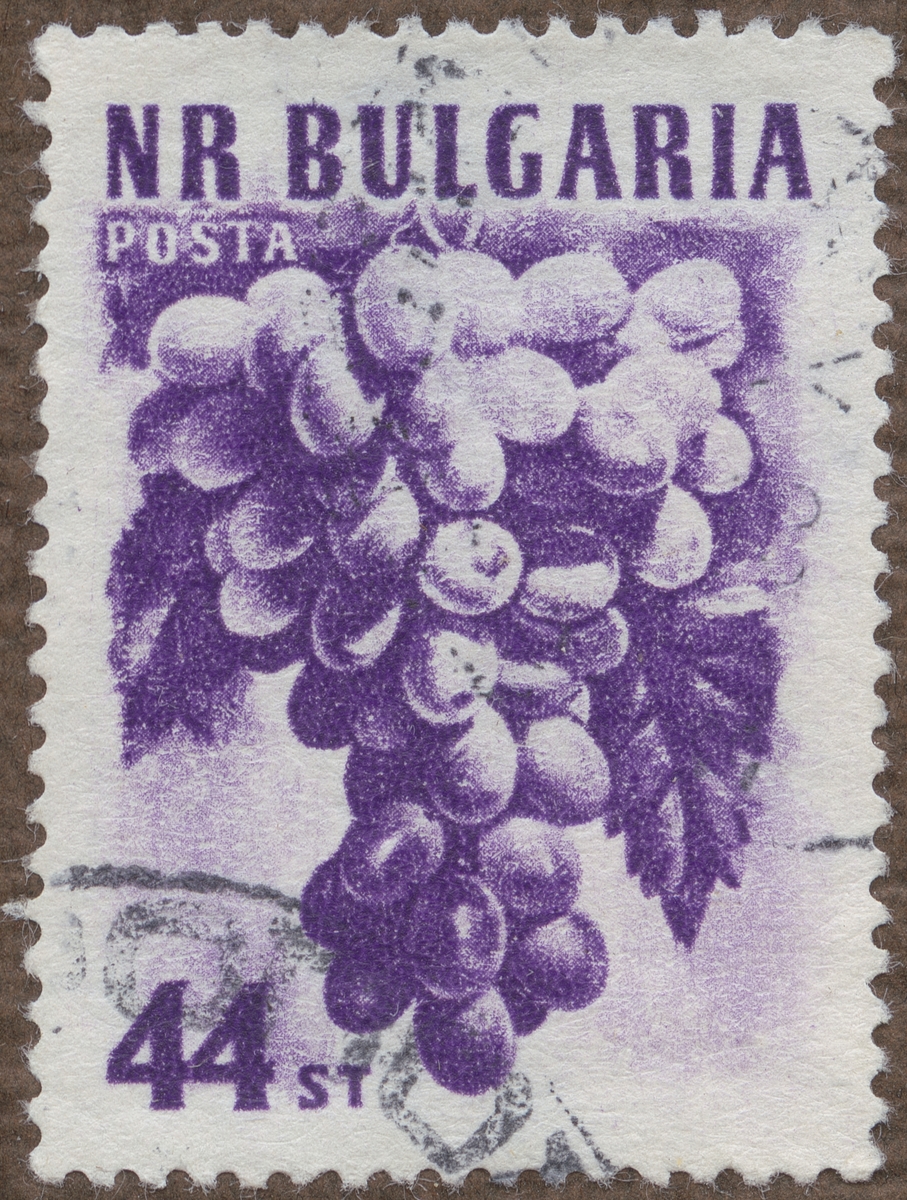 Frimärke ur Gösta Bodmans filatelistiska motivsamling, påbörjad 1950.
Frimärke från Bulgarien, 1956. Motiv av vindruvor. "Frukt serie".
