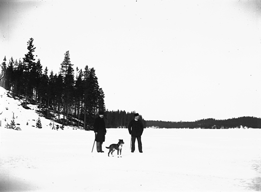 Två män med hund på skogspromenad, Riddarhyttan.