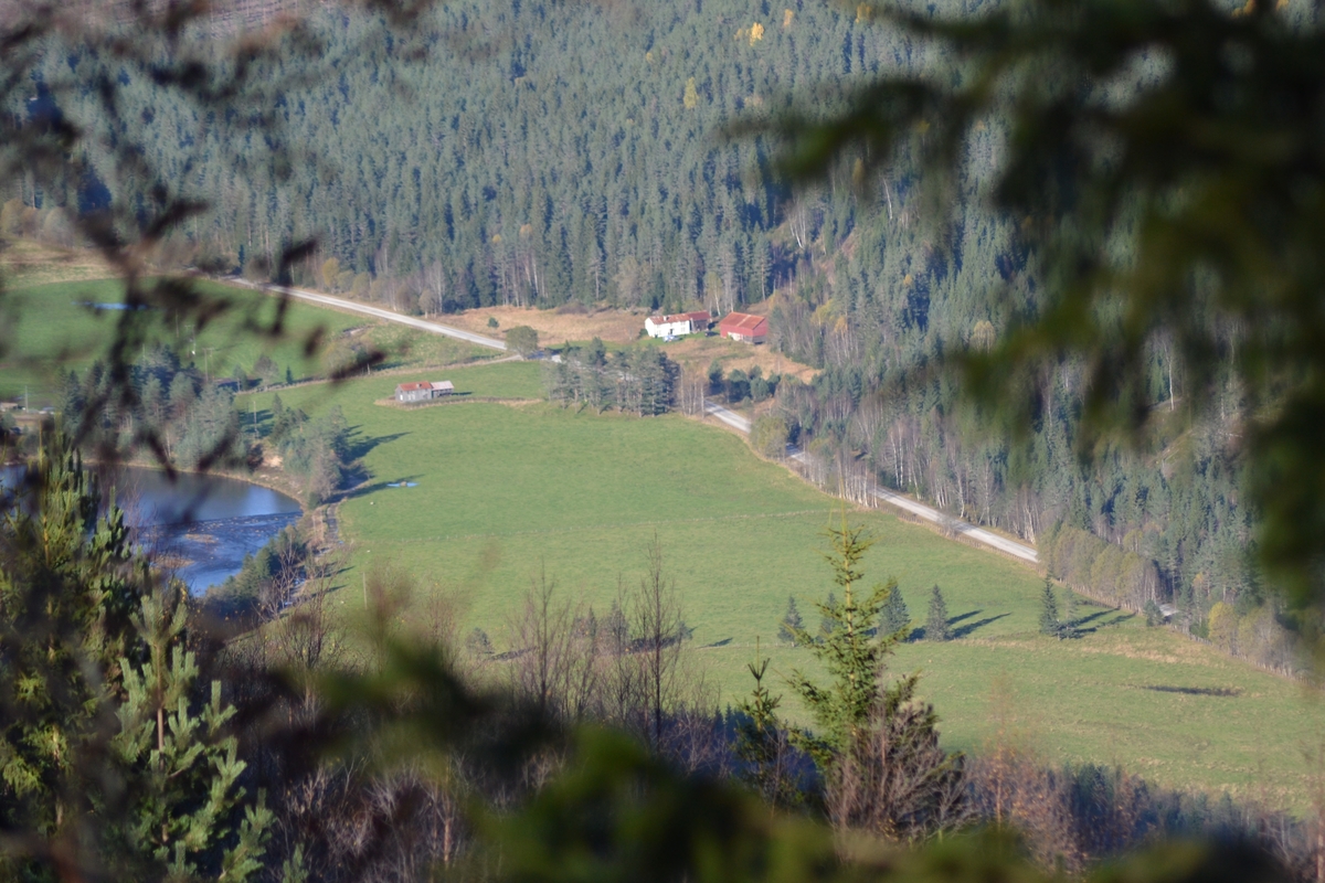 Asbjørn Haga, Marit Taksdal, Karl Marting Mattingsdal, Øyvind Jonasen, Tarjei Tjørhom og Kjell Johnny Lundtveit på ettersanking ved Langeid i Bygland. Dei fann nokre sauer til ein annen eigar i Setesdal og nokre av Marit Taksdal og Kjell Johnny Lundtveit sine sauer. Ein sau var skada og måtte fraktast med 6-hjuling. Dei fekk og skyss innover "Tyskervegen", ein veg bygd av tyskarane under 2. verdskrig.