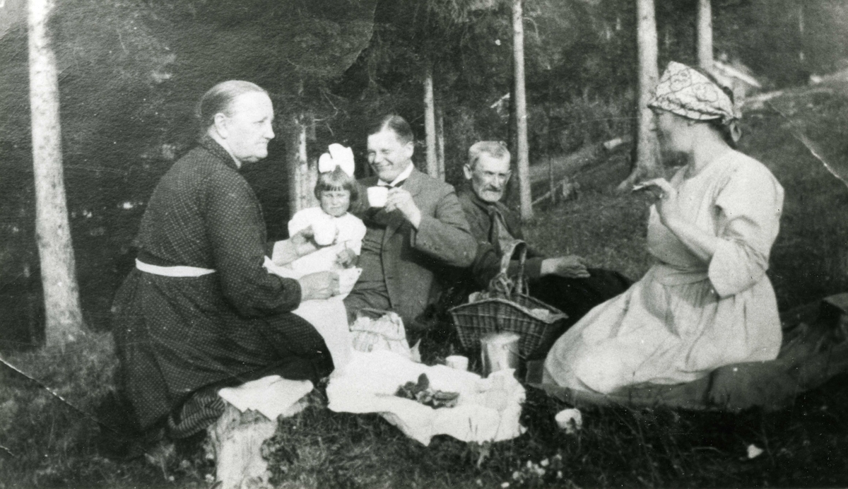 Gruppe på piknik