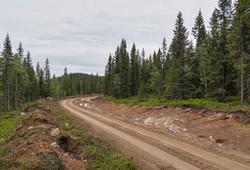 Nylig utbedret skogsbilvei øst for Kjølbergmyra på Finnskoge