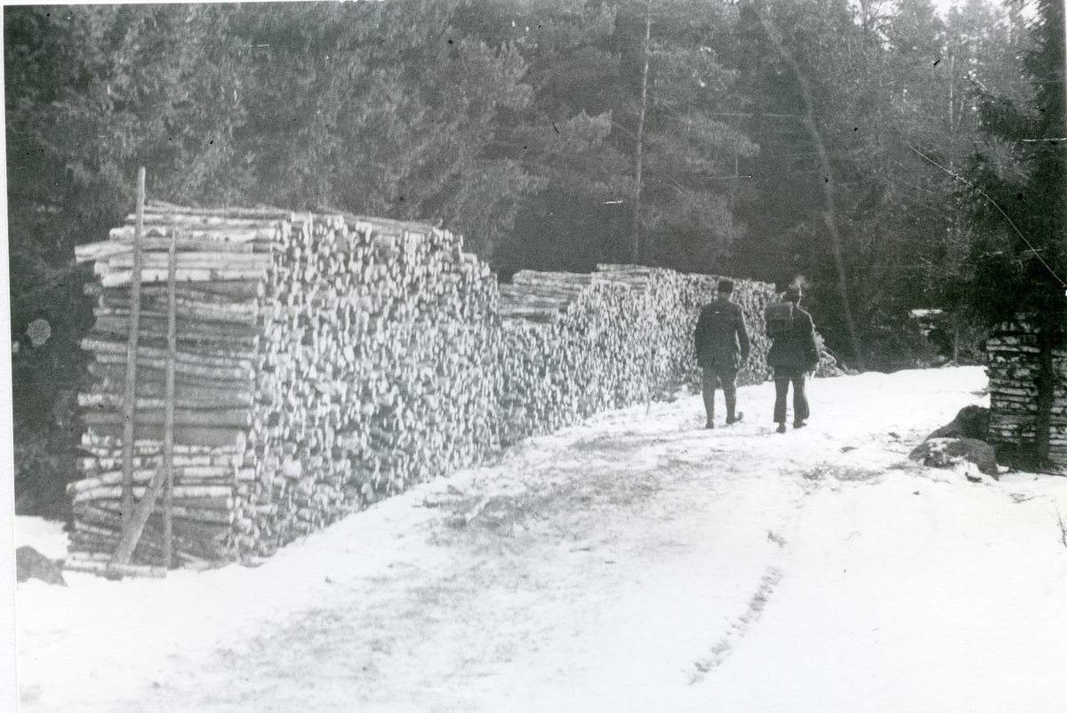 Lillhärad sn, Västerås.
Storön. "På väg till Storön år 1935". Vid sidan av vägen ligger en stor stapel med avverkad skog.