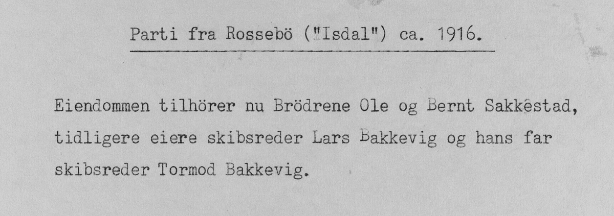 Parti fra Rossebø ("Isdal"), ca. 1916.