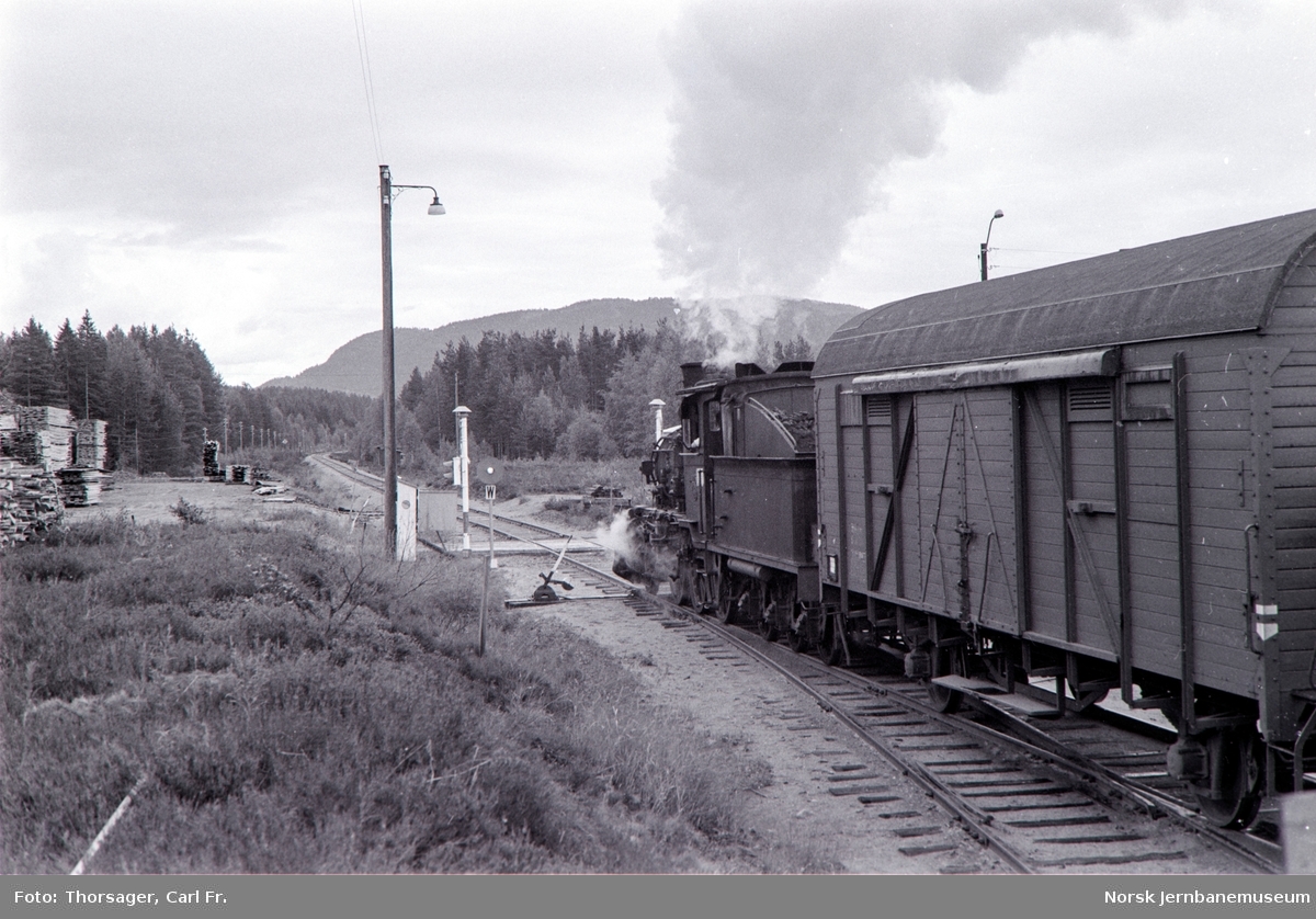 Damplokomotiv type 21b nr. 225 med godstog fra Rødberg til Kongsberg kjører ut fra Flesberg stasjon.