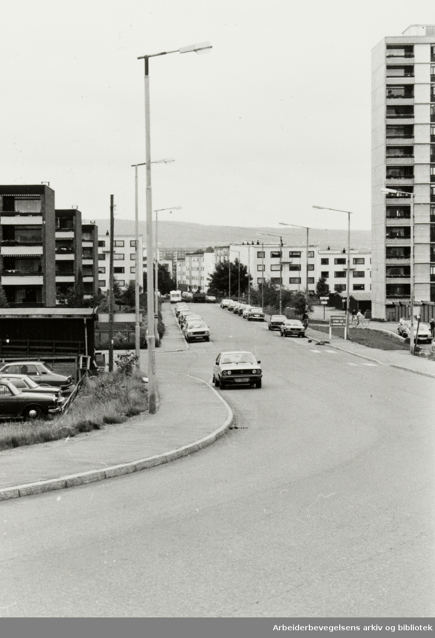 Linderud. Behov for støyskjerming i boligområde. August 1979