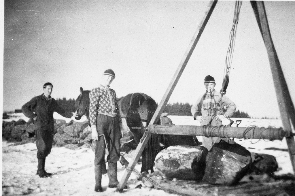 Tre mann og hest i arbeid med steinbukk. Dei kjører bort ein steingard. Til v. Sven Løge (1932 - 1993)