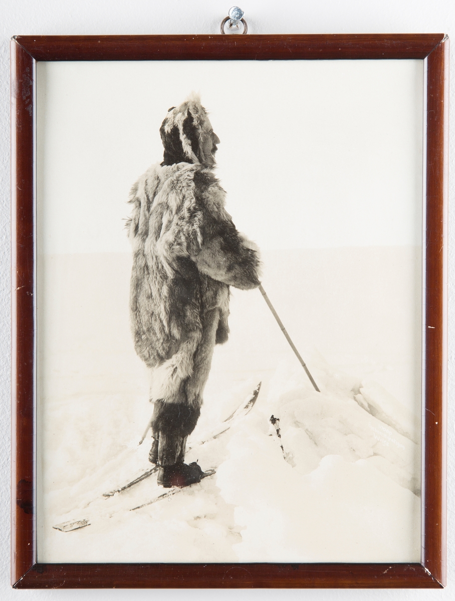 Roald Amundsen i pelsklær på ski.