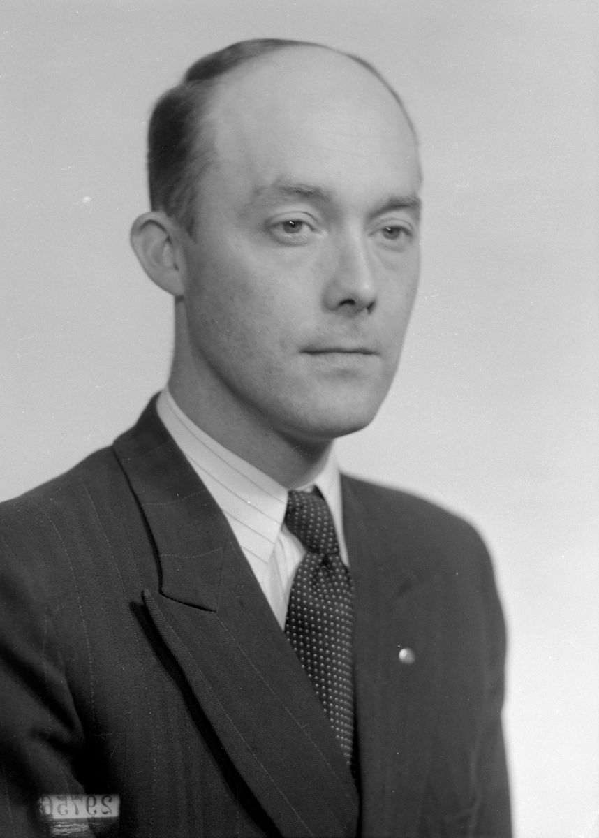 Arne J. Johansen