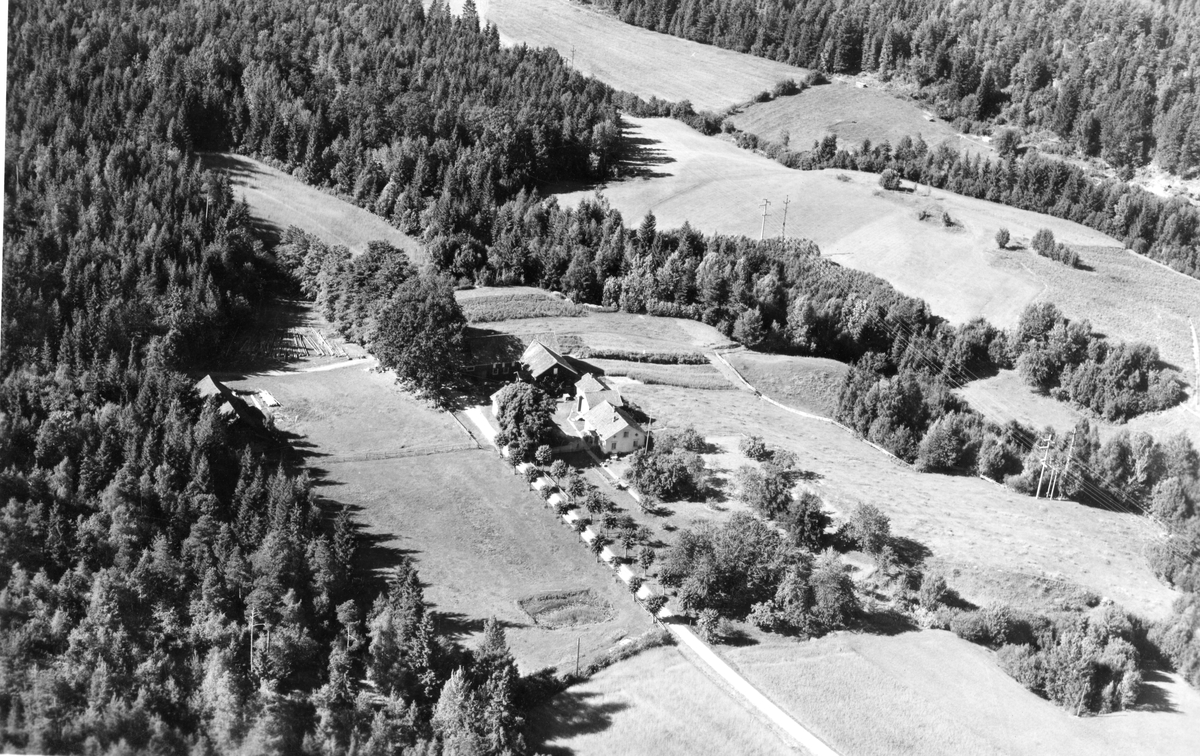 Flyfotoarkiv fra Fjellanger Widerøe AS, fra Porsgrunn Kommune, Haugholt Gård. Fotografert 30/07-1951. Fotograf Otto Hansen