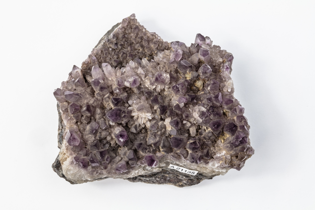 Ett mineral som är en kvarts och består av kiseldioxid. Färgen kan variera mellan violett till rödviolett och har kristallform. Används ofta i smycken. Exemplaret kommer ifrån dåvarande Schemnitz, Hont i Österrike/Ungern och ingår i Adolf Andersohns samling.