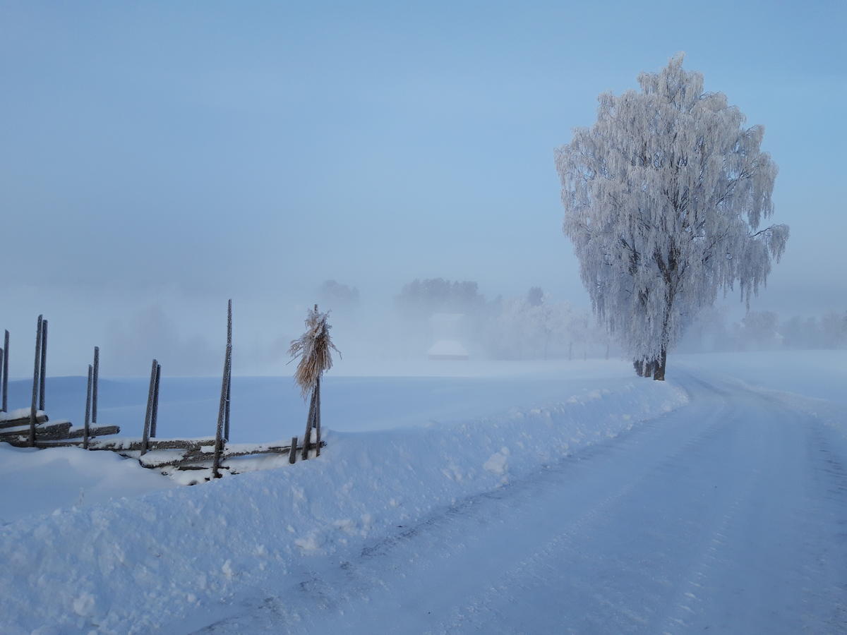 Vinter på Gamle Hvam (Foto/Photo)