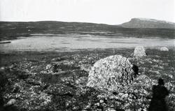 Moselass ved Kroktjernet i Gausdal Vestfjell