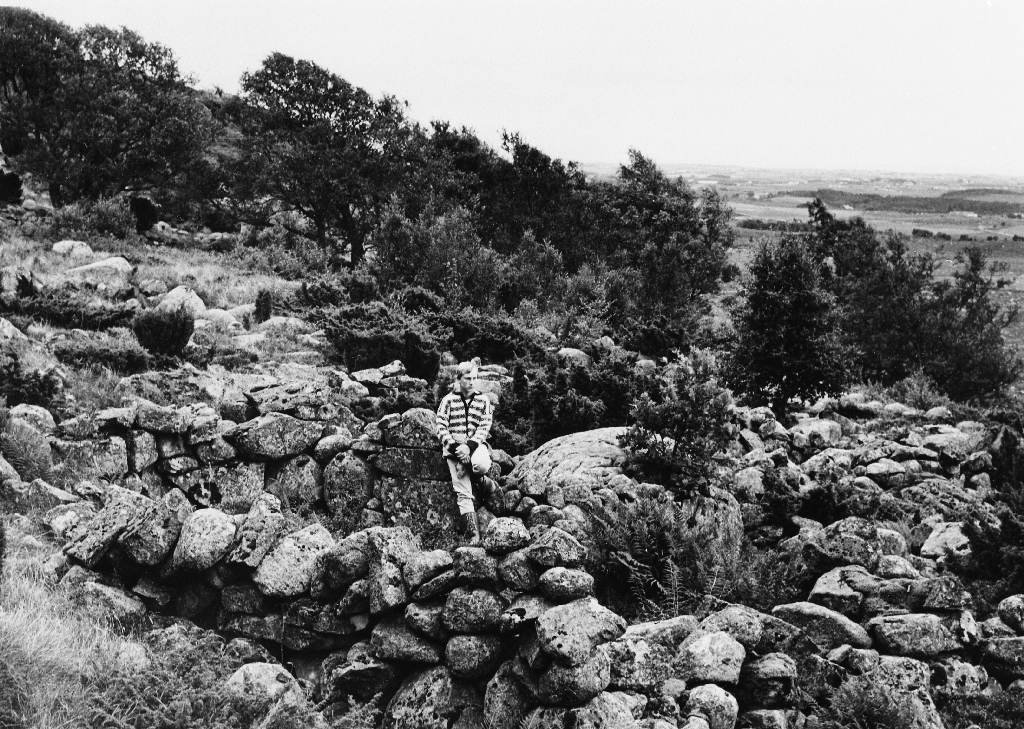 Steinmurar etter "Nyestølen" på Njå fjellet