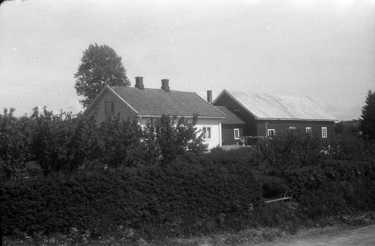 To nær identiske bilder av eiendommen Birkeland på Kraby, Østre Toten. Bildet er tatt på ettersommeren 1961.