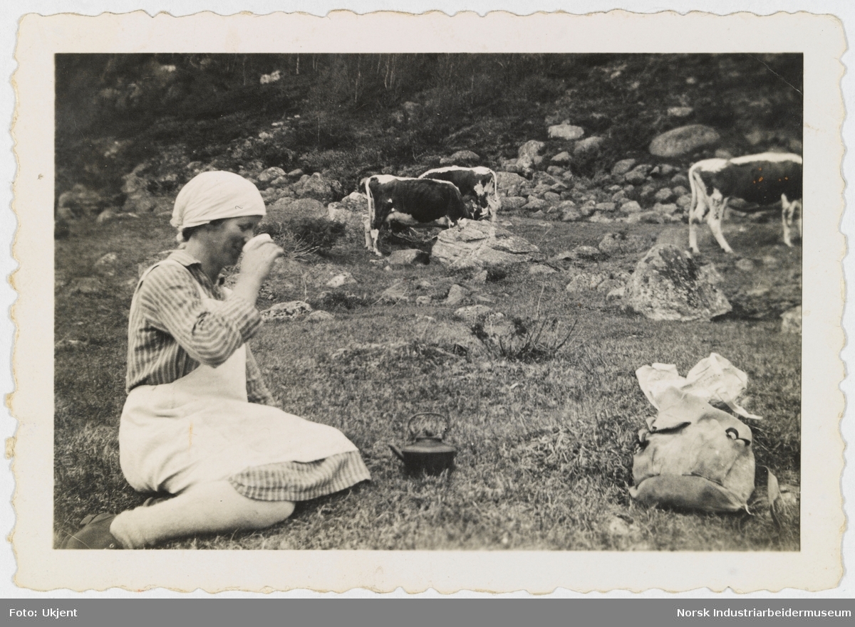 Birgit Hamaren sitter på gresset ikledd  forkle og skaut, tar en kopp mot munnen. Foran en kaffekjele og sekk. Bak gresser Telemarkskyr