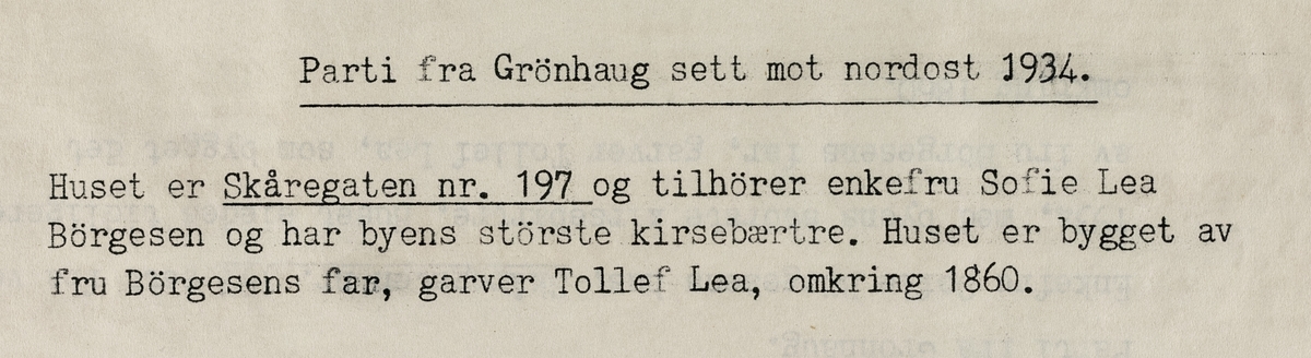 Parti fra Grønhaug sett mot nordøst, 1934.