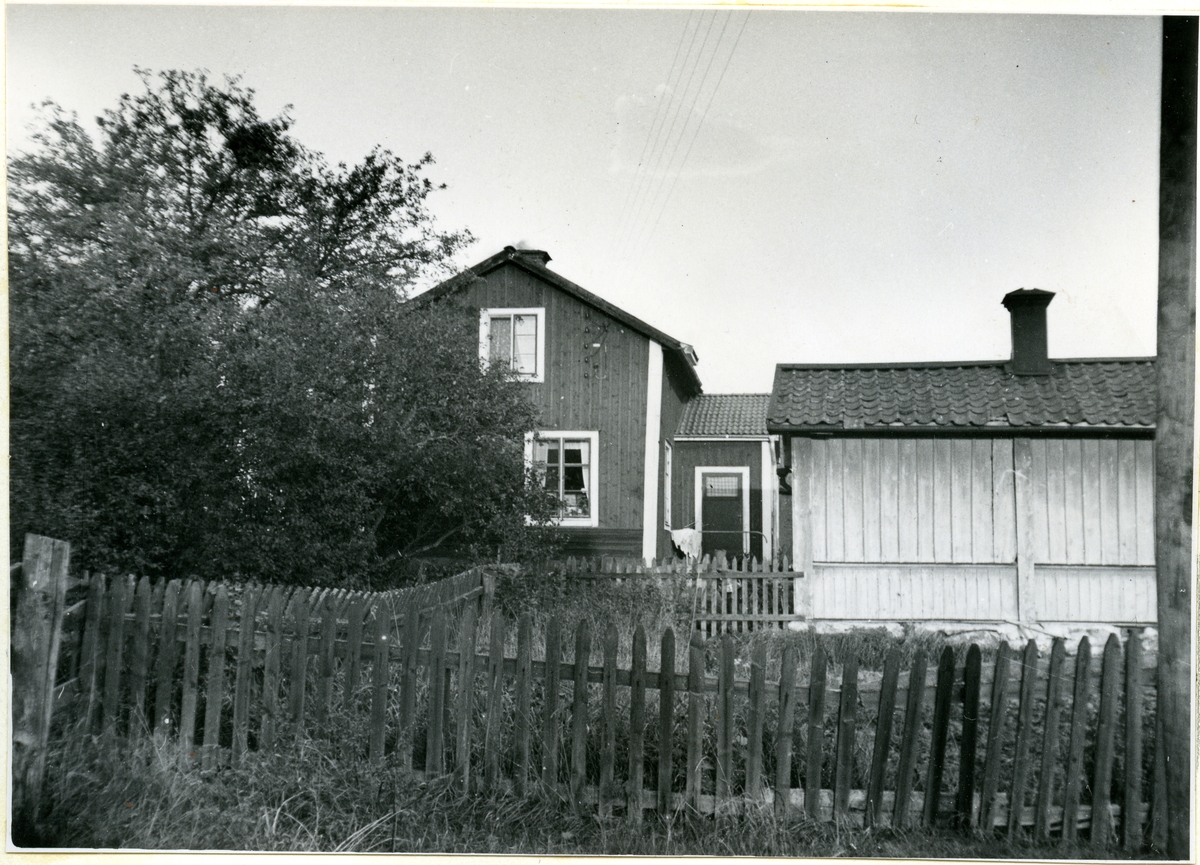 Odensvi sn, Köping, Brandsta.
Gården från väster, 1949.