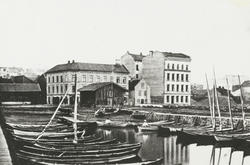 Pipervika. 1870.