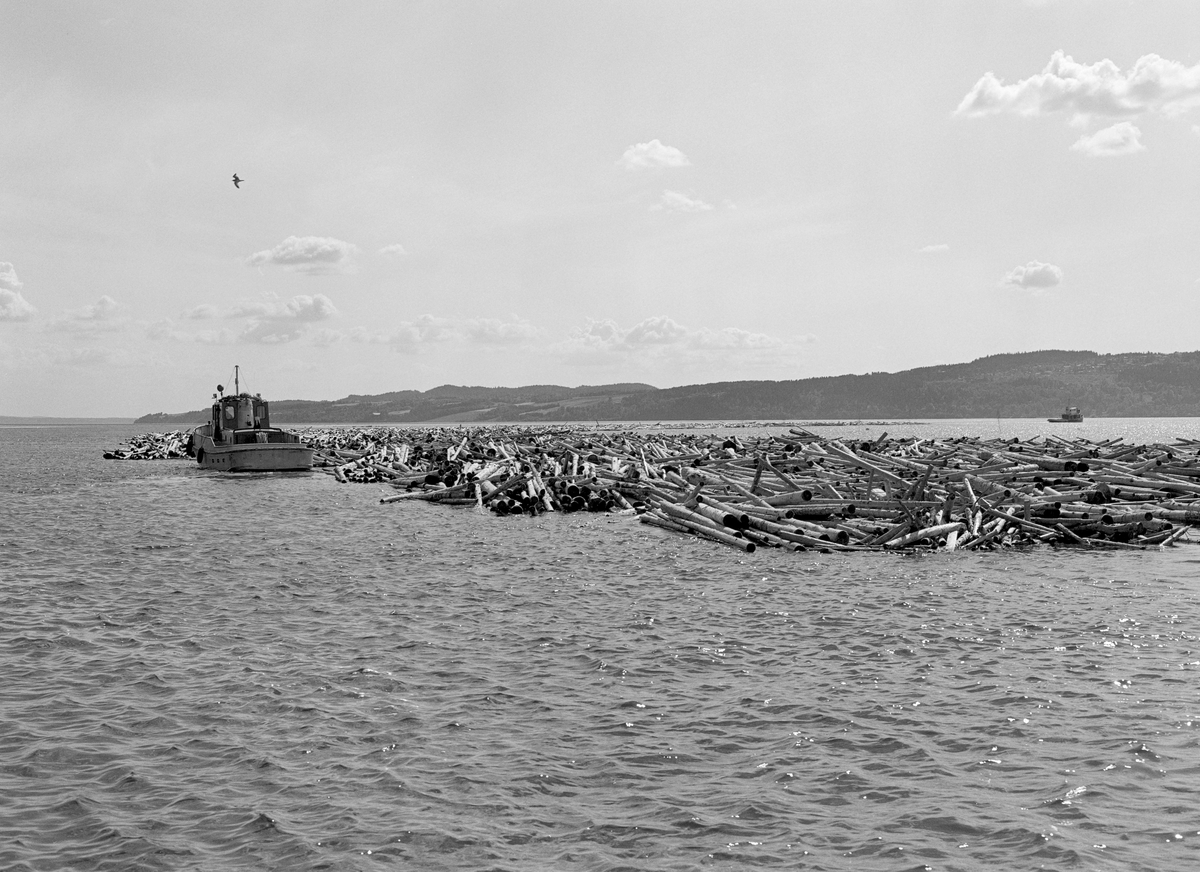 Slepebåten «Rauma», fotografert i aktvitet ved et «nedlegg» - et parti med «sopper» (tømmerbunter) - som skulle bukseres fra lendseanlegget på Fetsund gjennom deltaområdet lengst nord i innsjøen Øyeren til Sofiedal eller Engelsvika lengre sør. Dette var den andre slepebåten Glomma fellesfløtingsforening disponerte som hadde Rauma-navnet. Den første var en 48 fots dampbåt fra 1898, som startet sesongen med å slepe soppemaskinene til lenseanlegget i riktige posisjoner. Når dette materiellet var i drift, ble den første Rauma-båten særlig brukt til å slepe «sopper» (tømmerbunter) fra opplagsstedet Vestvollen til den lokale skogindustrien på Nedre Romerike. Når sesongen var over, ble den samme båten brukt til å slepe de nevnte soppemaskinene til vinteropplagssteder. Etter 2. verdenskrig erkjente ingeniørene i Glomma fellesfløtingsforening at de mange gamle dampbåtene virksomheten disponerte var uøkonomiske i drift, først og fremst fordi de trengte et forholdsvis stort mannskap. Mange av de gamle fartøyene ble ombygd, men den 61 år gamle Rauma ble i 1959 erstattet av en ny liten slepebåt ved navn Rauma. Den ble bygd ved Knardalstrand Slip & Verft i Porsgrunn etter tegninger som Richard Furuholmen og Otto Scheen hadde utført i samarbeid med fløtingsingeniøren Kjell Bering.  Båten var 12,24 meter lang, 5,4 meter bred og veide 20 tonn. Den nye Rauma hadde en kraftig dieselmotor. 

Fram til 1971 ble den nye Rauma, som den gamle, brukt til å buksere tømmerpartier fra vindskjermen ved Vestvollen til den lokale industrien. Etter at denne industrien ble nedlagt ble denne båten i hovedsak brukt til å styre den bakre delen av «nedleggene» – lange kjeder av «sopper» – som ble slept forsiktig gjennom de grunne og svingete elevefarene i deltaområdet nedenfor Fetsund lenser mot Sofiedal eller Engelsvika i Rælingen, der nedlegget ble fortøyd mens de store slepebåtene Isnæs og Mørkfos, hentet nye nedlegg med bistand fra Rauma. To og to nedlegg ble bundet sammen til «vendinger», som ble slept videre nedover til Sandstangen eller Sleppetangen ved Glommas utløp av Øyeren. Det hendte også at Rauma gikk helt ned til sørende av Øyeren. Det var denne båten som slepte de aller siste stokkene fra lenseanlegget og sørover da fløtinga ble avviklet i 1985.  Rauma ble seinere overtatt av museet ved Fetsund lenser, som fikk finansiert en restaureringsprosess i 2004-2005. Museet bruker Rauma som arbeidsbåt i under vedlikehold av det nå fredete lenseanlegget.