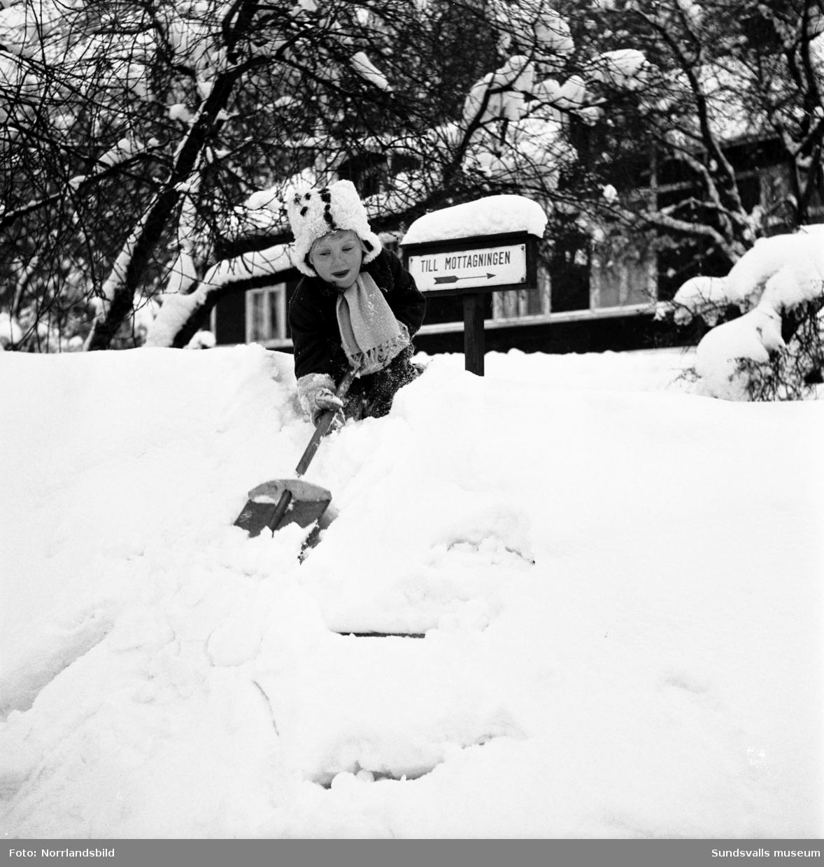 Snövintern 1951. Bilder från olika platser på glada barn som leker i snön. De tre första bilderna är troligen invid gamla Epidemisjukhuset vid Ludvigsbergsvägen, några av bilderna från parken norr om Flickskolan och GA-kyrkan.