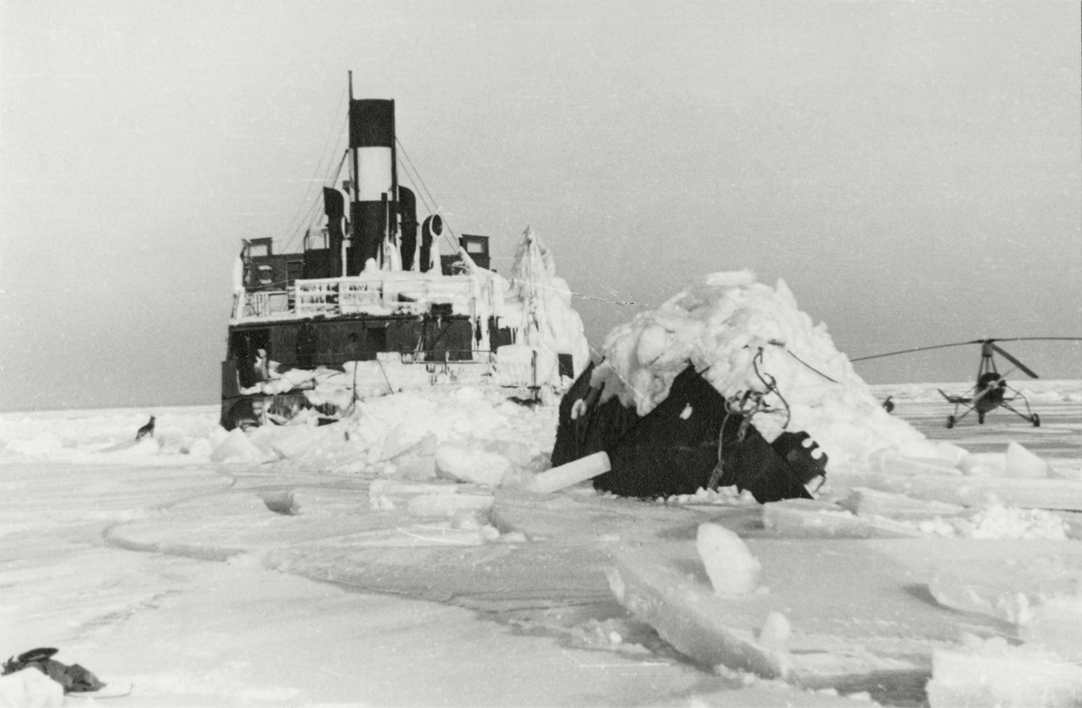 S/S TORÖ av Stockholm. Minsprängd den 12.12.1939 vid Falsterbo. v. Bahrs autogiro har landat vid det överisade vraket. Obs. att akterskeppet brutits loss av isen.