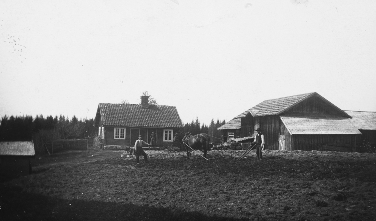 Gammelsvea, gard, Imerslundmarka, Vang H. Hest, plog, hesteredskap, ukjente.