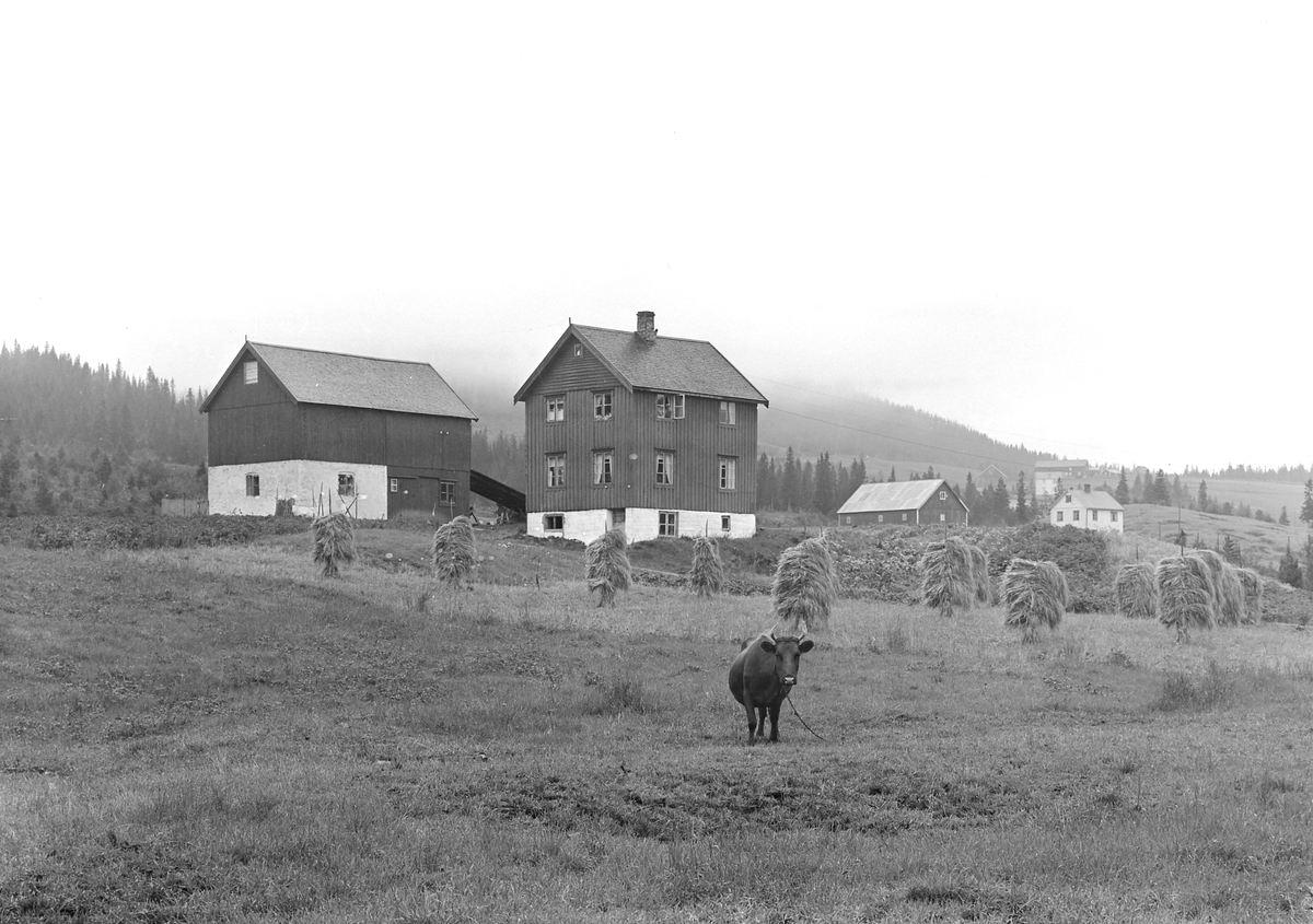 Gården til Johan A. Rundhaug på Kvålseggen