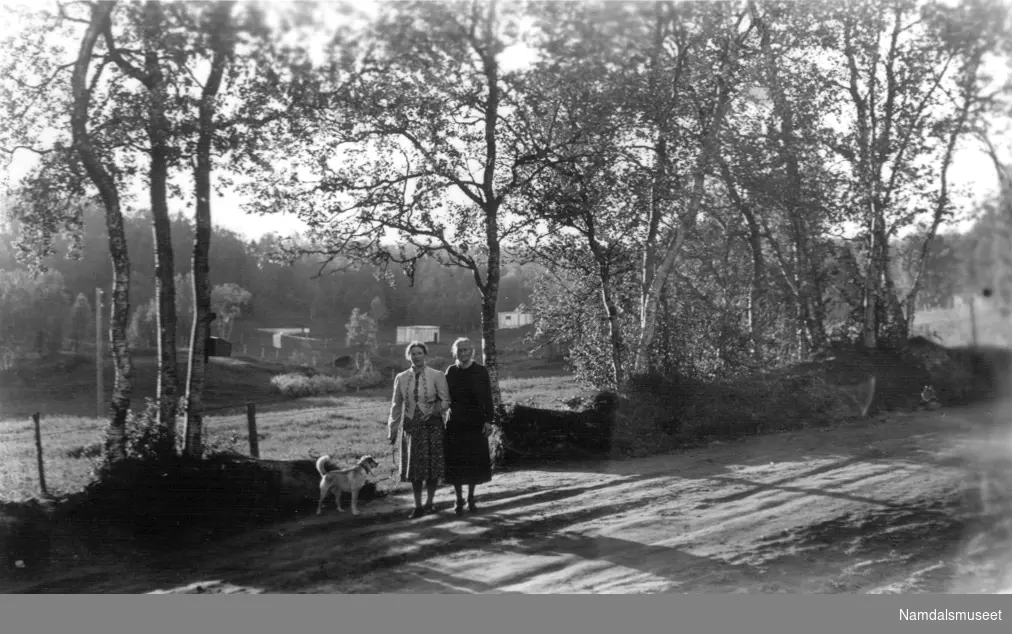 To damer og en hund går tur