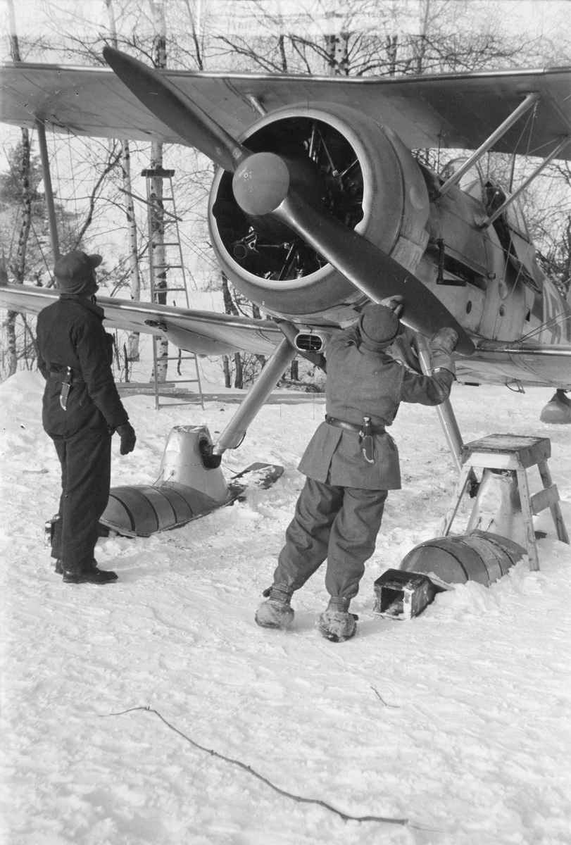 Flygplan Gloster Gladiator gul F görs klart för start. Två mekaniker i arbete vid propeller. Vid F 19, Svenska frivilligkåren i Finland, 1940.