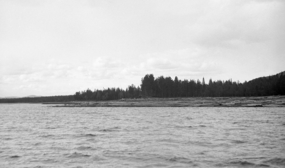 Osensjøens strandsone ved Fuglesanden, som ligger på østsida av sjøen, sommeren 1941. Fotografiet er tatt fra båt inn mot land, der det ligger en god del tømmer oppover strendene til tross for at opptaket ble gjort i juni. Sjøen var tappet såpass langt ned at utislagsarbeidet må ha blitt krevende. I bakgrunnen står barskogen tett.

I 1941 ble 150 683 tømmerstokker innmeldt til fløting fra Osensjøens strender. Dette utgjorde om lag 30 prosent av leveransene i Osenvassdraget. Det øvrige virket kom fra tilløpselvene og fra avløpselva Søndre Osa med sidevassdraget Østre Æra. 1941 ble for øvrig en helt spesiell fløtingssesong i Osen. Glommens og Laagens brukseierforening tappet nemlig sjøen kraftig foregående vinter. Ettersom det var lite snø og en kjølig vår med lite nedbør, tok det lang tid å fylle sjøen igjen. Her lå det fortsatt tømmer i ei tørrlagt strandsone, sjøl om bildet er tatt i juni. Tappinga av fløtingsvirke gjennom Osdammen ble ikke startet før 4. august. Dette innebar etterfløting i Glomma sør for Rena, der østerdalstømmeret for lengst hadde passert, og ikke ubetydelige ekstrakostnader for Glomma fellesfløtingsforening. Utgiftene knyttet til utislagsarbeidet langs Osensjøens strender ble en forhandlingssak mellom skogeierne og Brukseierforeningen.