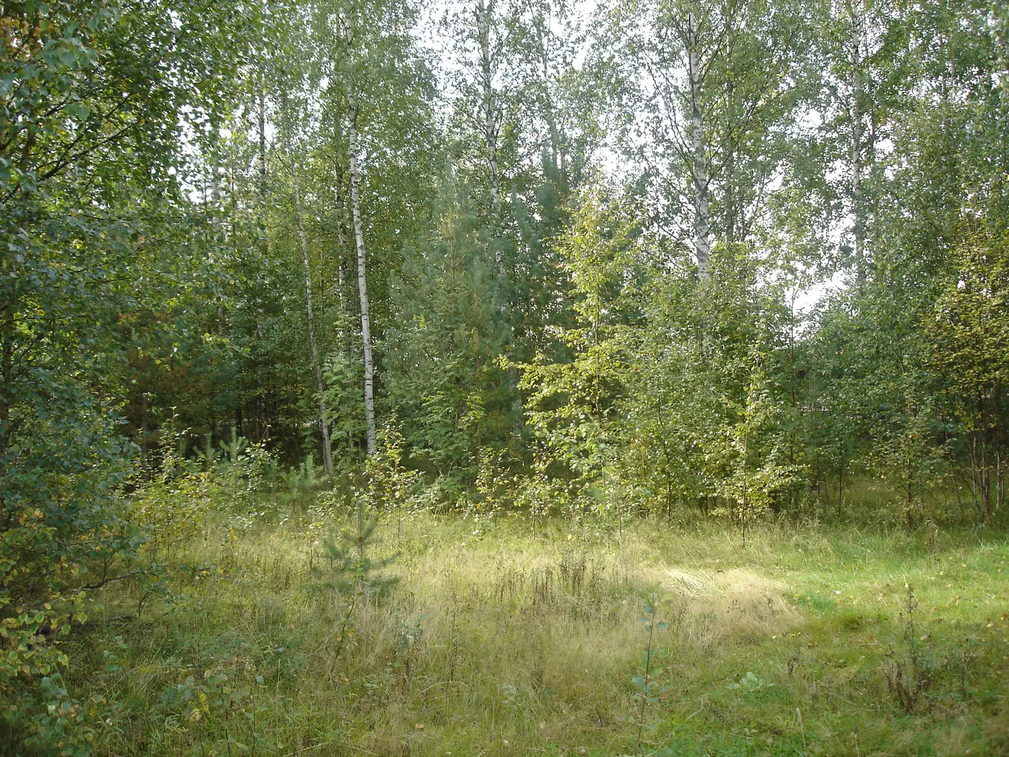 Grindal camp site, Elverum.