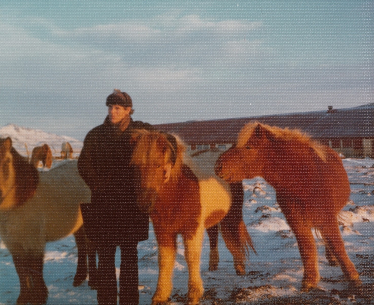 Fotografi av Olav H. Hauge saman med tre hestar på Island i 1976. Hauge kom i følgje eiga dagbok til Reykjavik 6. desember 1975, og biletet er truleg frå denne turen. (1) Fotografen er ukjend. Biletet vart skanna hos Bodil Cappelen i 2012, og er i Olav H. Hauge-senterets eige. Skanning og innhenting av informasjon vart utført av Eirik Bergesen Dalen.

Kjelde:
(1) Hauge, O.H. (2000) Olav H. Hauge Dagbok 1924-1994, fjerde bandet, side 278