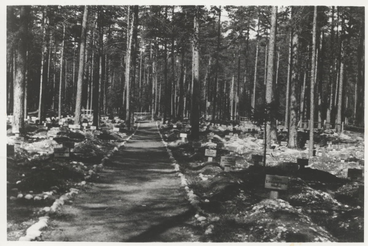 Graver på krigsgravplassen Jørstadmoen i Fåberg (Lillehammer), sommeren 1945. Hver grav var opprinnelig markert med nummer og navn. Senere er disse markeringene tatt bort.