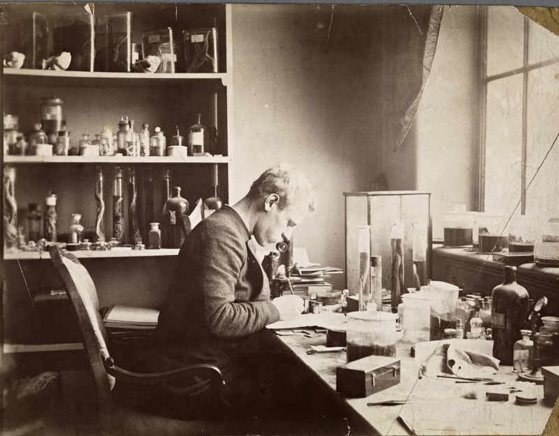 Fridtjof Nansen ved mikroskopet på Bergens Museum mens han forsket i nerveanatomi i studietiden, Bergen, 1887.